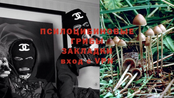 сатива Володарск