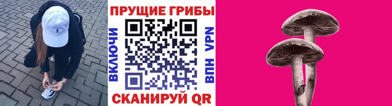кракен tor наркотики Долинск Галлюциногенные грибы MAGIC MUSHROOMS